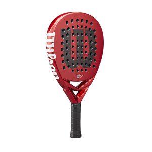 BelaProV22